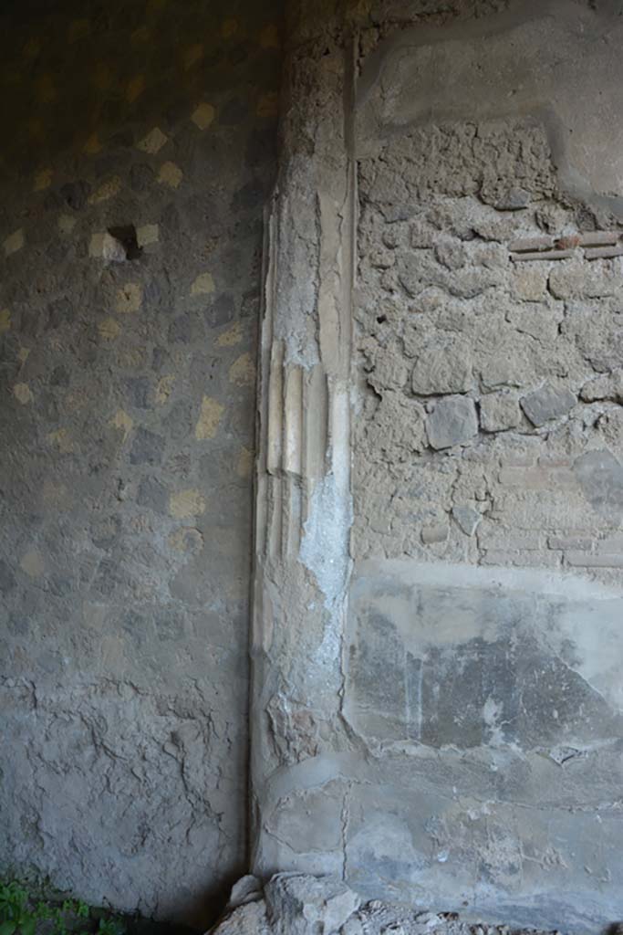 VI.2.4 Pompeii. March 2019. 
Detail from north wall of outer small room in north-west corner, near summer triclinium. 
Foto Annette Haug, ERC Grant 681269 DÉCOR.