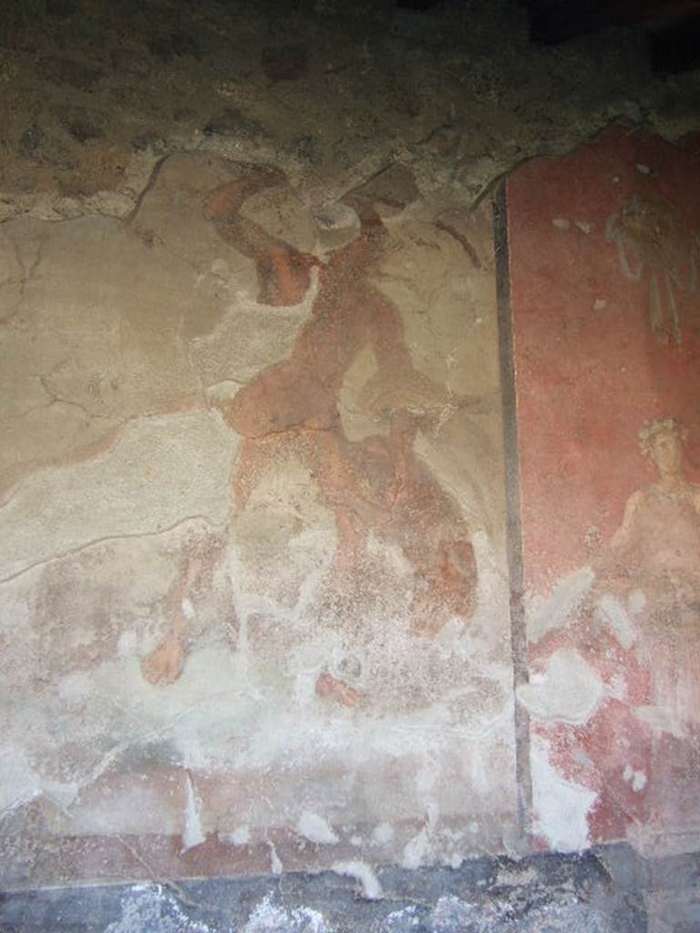 VI.2.4 Pompeii. May 2006. Wall painting on south wall of small garden.
The fate of Acteon who was torn to pieces by his own hounds as a penalty for having seen Diana at her bath. See Mau, A., 1907, translated by Kelsey F. W. Pompeii: Its Life and Art. New York: Macmillan. (p.285).