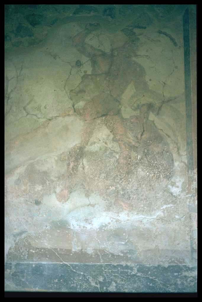 VI.2.4 Pompeii. Garden. Wall painting of Acteon.
Photographed 1970-79 by Günther Einhorn, picture courtesy of his son Ralf Einhorn.