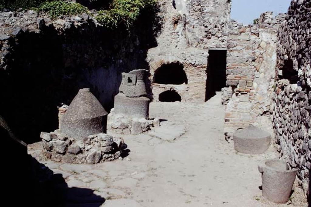 VI.2.6 Pompeii. 1968. Looking east past the mills towards the oven, and doorway to rear room. Photo by Stanley A. Jashemski.
Source: The Wilhelmina and Stanley A. Jashemski archive in the University of Maryland Library, Special Collections (See collection page) and made available under the Creative Commons Attribution-Non Commercial License v.4. See Licence and use details.
J68f1987