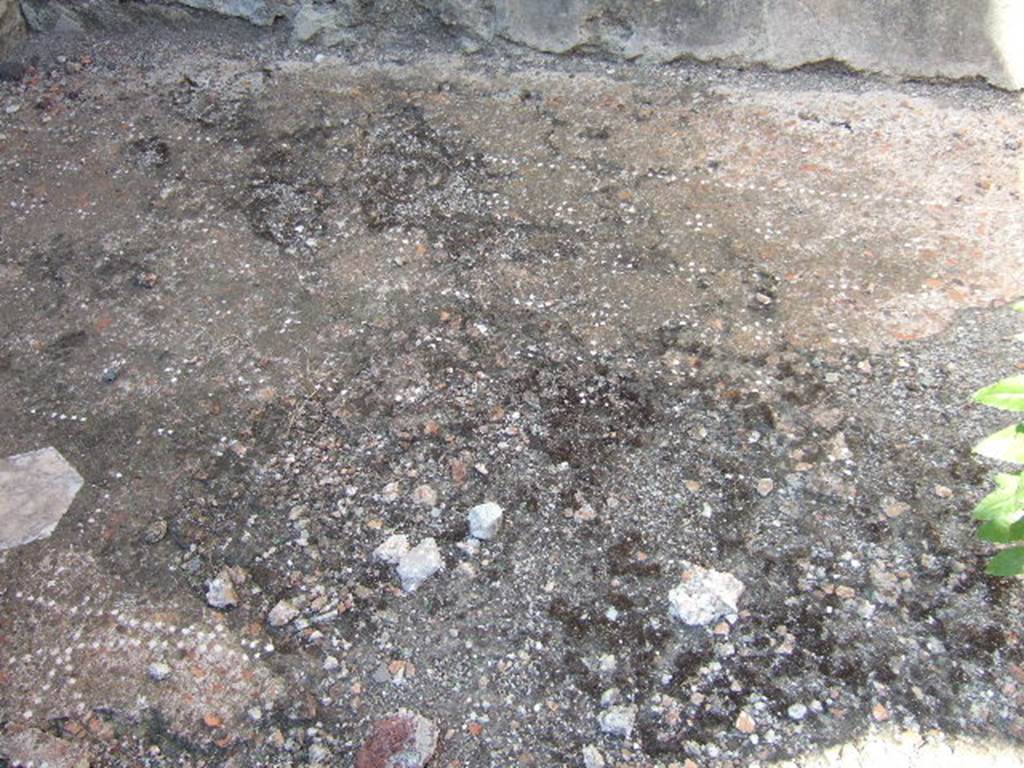 VI.2.12 Pompeii. September 2005. Room 7 cubiculum, decorative floor.