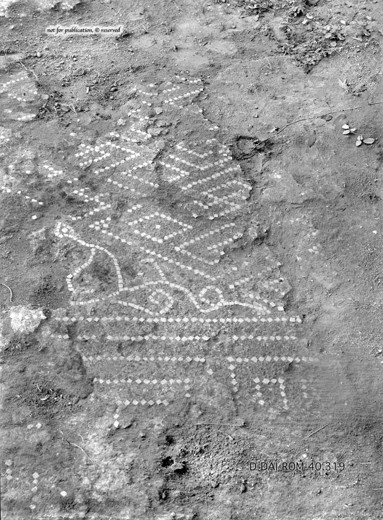 VI.2.13 Pompeii.c.1930. Flooring in tablinum. 
DAIR 40.319. Photo © Deutsches Archäologisches Institut, Abteilung Rom, Arkiv.
See Pernice, E.  1938. Pavimente und Figürliche Mosaiken: Die Hellenistische Kunst in Pompeji, Band VI. Berlin: de Gruyter, (tav. 11.2, above.)
According to PPM,
Although poorly preserved, the flooring of the tablinum in cocciopesto showed a border of meanders and alternative squares and with a central emblema decorated with a diamond of meanders and plant stems in white tesserae.
See Carratelli, G. P., 1990-2003. Pompei: Pitture e Mosaici. 4. IV.Roma: Istituto della enciclopedia italiana, (p.163.)