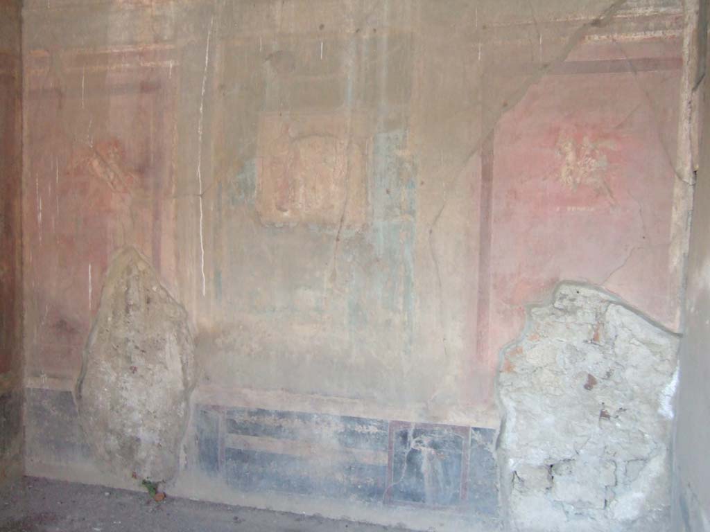 VI.2.14 Pompeii. September 2005. Painted north wall of triclinium. 
According to Bianco –
“Le decorazioni parietali sono quasi tutte completamente perdute, in quanto, scavata agli inizi dell’800, non fu adeguatamente protetta, secondo l’abitudine, allora invalsa, di non ricostruire i tetti.
Solo una parte di esse è in un discreto stato di conservazione, come quelle dell’ambiente (11), un triclinio, coperto dopo lo scavo, con una semplice tettoia.
Le pitture si collocano nel IV stile, quindi contemporanee a quelle delle Casa del Poeta Tragico. Osserviamo la parete nord;
lo zoccolo è nero, la zona mediana divisa da sfondi architettonici, sorretti alla base da figure entro edicole, con un pannello azzurro al centro e dei pannelli a sfondo rosso ai lati. La zona superiore è ugualmente rossa ed è caratterizzata da un’edicolo. Infine la parete è completata con una cornice di stucco. Nei pannelli laterali a fondo rosso vi sono le vignette dalle quali deriva il nome della casa (Note 27) raffiguranti ad ovest un’Amazzone (note 28) e ad est un’Amazzone a cavallo (Note 29). Quest’ultima ha il mantello svolazzante, la pelta nella sinistra e l’ascia nella destra, calza stivaletti e ha la sella ornata (Note 30). ……….
Particolarmente interessanti sono anche la raffigurazione di una maschera tragica sulla parete ovest dello stesso triclinio (11) e di un quadro completamente perso che rappresentava Arianna (Note 31), temi trattati anche nella Casa della Poeta Tragico.”
(Note 27: Helbig, 1249.
Note 28: Secondo Helbig, 1842, si tratta di un cavaliere.
Note 29: Helbig, 1249.
Note 30: La vignette è la replica di uno stesso motivo presente in un quadro della casa IX.7.20; cfr. HERMANN-BRUCKMANN 1906, tav.178.1.
Note 31: Helbig in 1232, ne dà la descrizione: Arianna è raffigurata sulla destra in compagnia di un amorino in lacrime appena distinguibile al centro; risvegliata, guarda la nave di Teseo che si allontanò, sulla sinistra è presente una figura maschile accessoria.)
See Bianco, Annalisa. Il fregio delle Amazzoni nella Casa del Poeta Tragico a Pompei. (In Rivista di Studi Pompeiani, XVIII, 2007, (p.58).