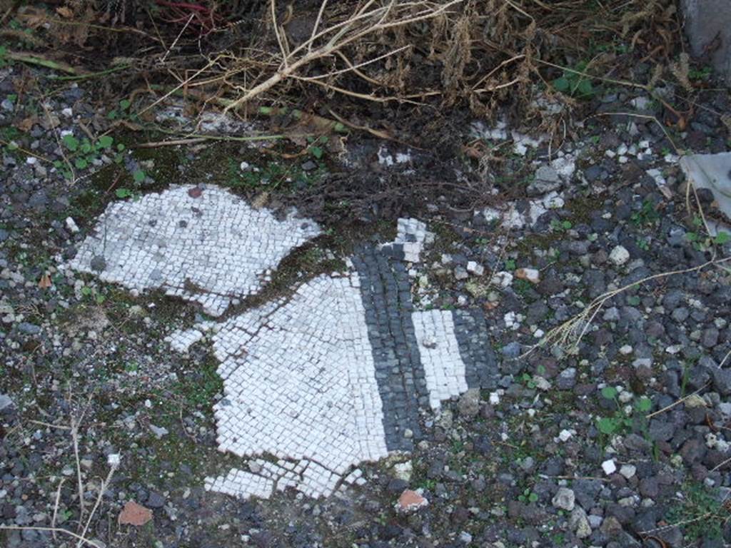 VI.2.16 Pompeii. September 2005. Black and white mosaic floor in south-west corner of triclinium.
The floor was edged with two bands of black tiles followed by a wide border of white tiles, and then another band of black tiles.