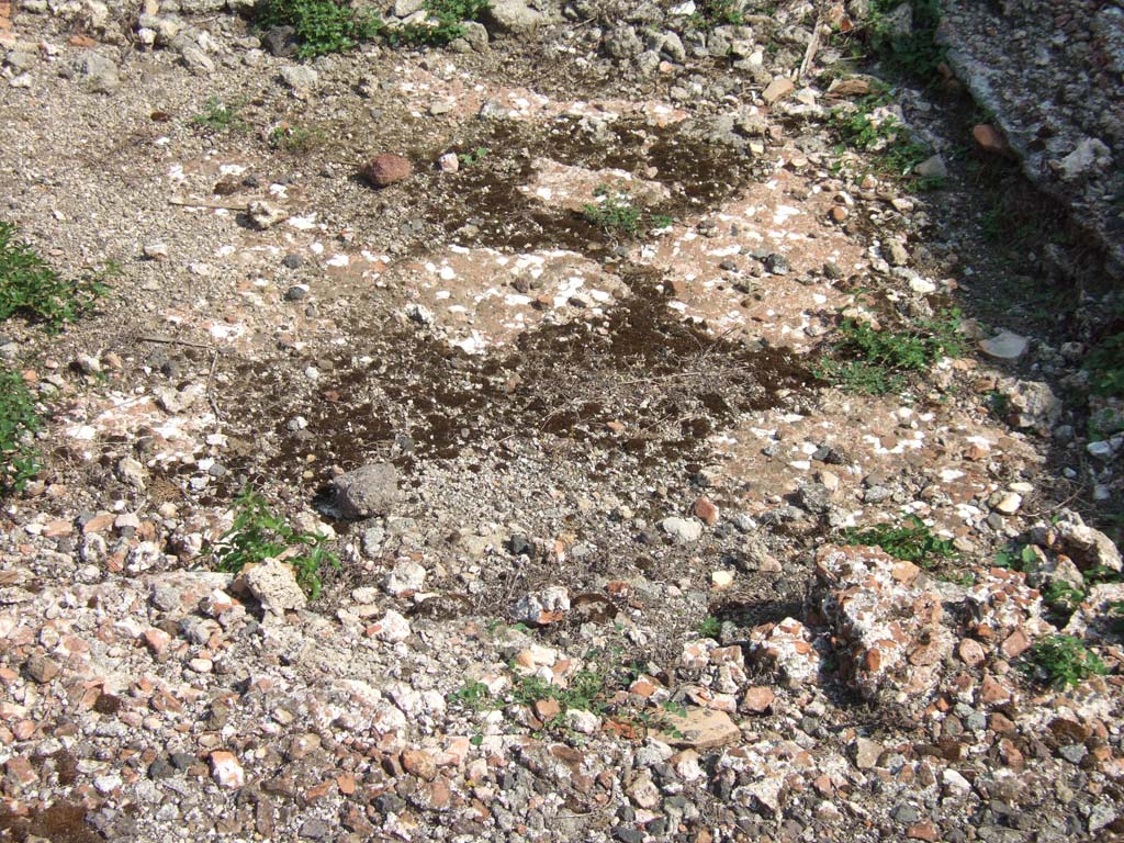VI.2.17 Pompeii. September 2005. Floor of impluvium in atrium.