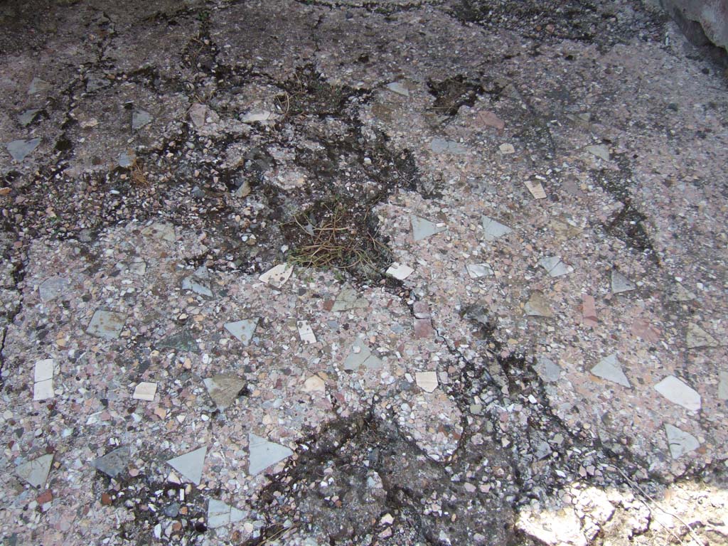 VI.2.22 Pompeii. September 2005. 
Floor of cubiculum, in north-west corner of atrium, decorated with scattered tiles of coloured marble and limestone.