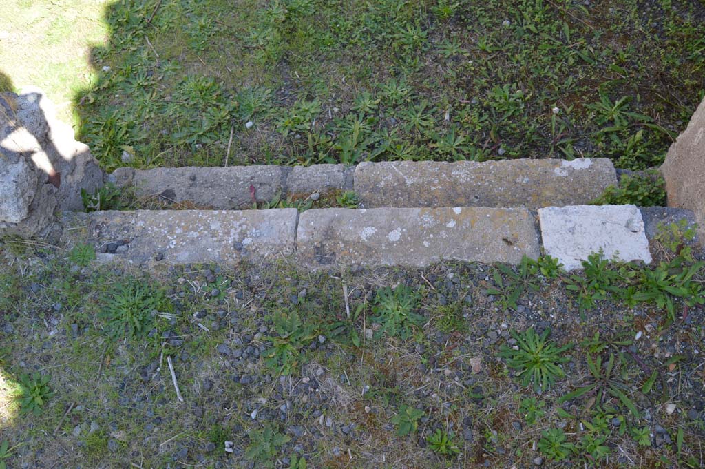 VI.2.22 Pompeii. October 2017. Looking east down steps from tablinum to atrium.
Foto Taylor Lauritsen, ERC Grant 681269 DÉCOR.