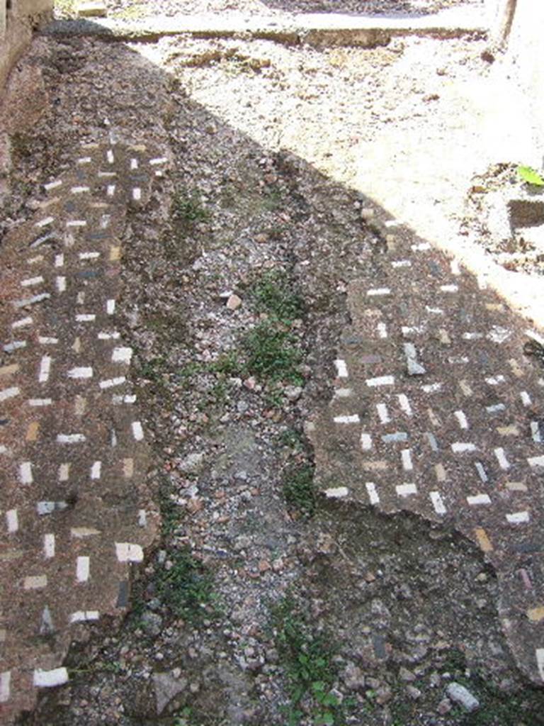 VI.2.22 Pompeii. December 2007. Floor decoration in fauces. 
According to Blake, talking about small oblong pieces of coloured limestone set into flooring, irregularly disposed –
“A further development occurs in VI.2.22, where the oblong pieces (4.5cm x 1.8cm) are set obliquely in parallel rows throughout nearly the entire house.”
See Blake, M., (1930). The pavements of the Roman Buildings of the Republic and Early Empire. Rome, MAAR, 8, (p.30).