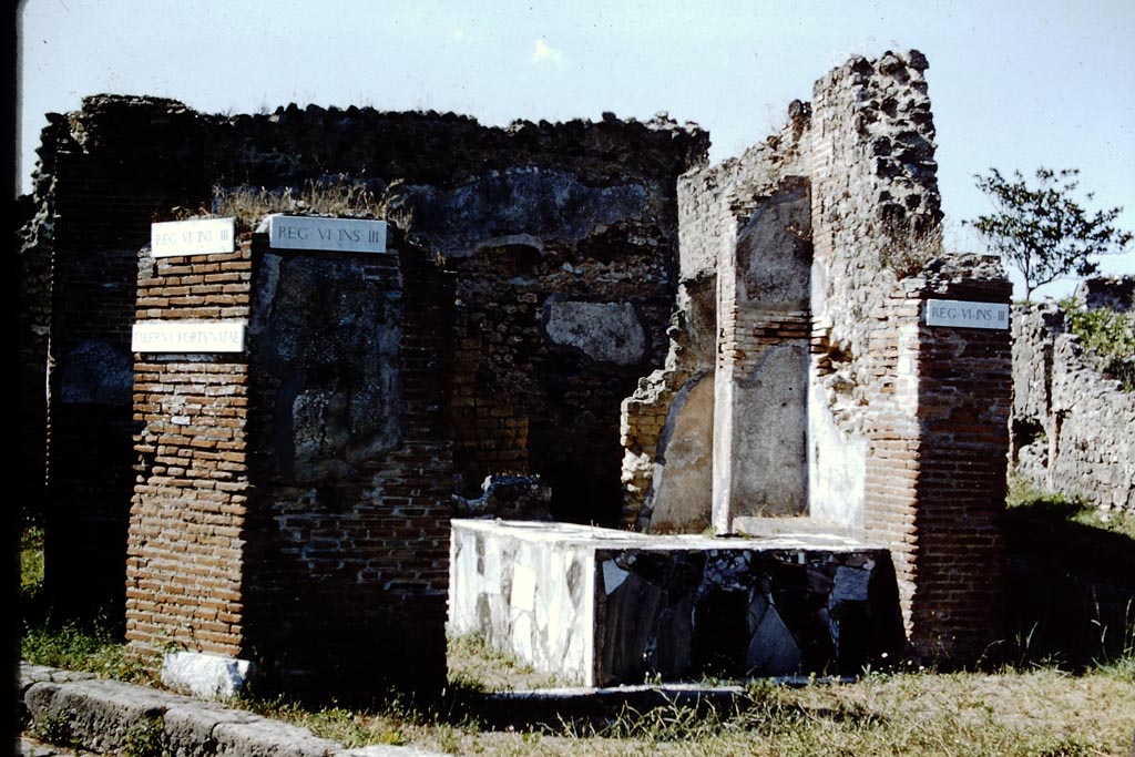 VI.3.20 Pompeii. 1959. Looking north towards counter/podium. Photo by Stanley A. Jashemski.
Source: The Wilhelmina and Stanley A. Jashemski archive in the University of Maryland Library, Special Collections (See collection page) and made available under the Creative Commons Attribution-Non Commercial License v.4. See Licence and use details.
J59f0095