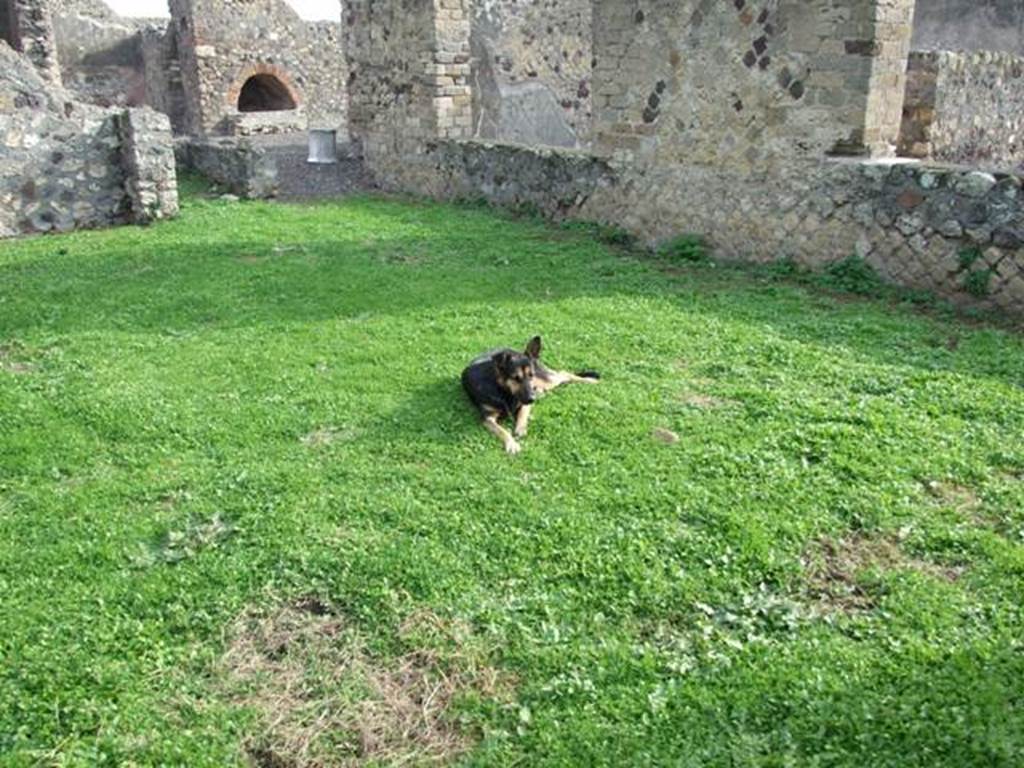 VI.5.3 Pompeii. December 2007. Room 9, looking south-east across garden area, with a contented dog called Sheila, who insisted on supervising our visit to her house.