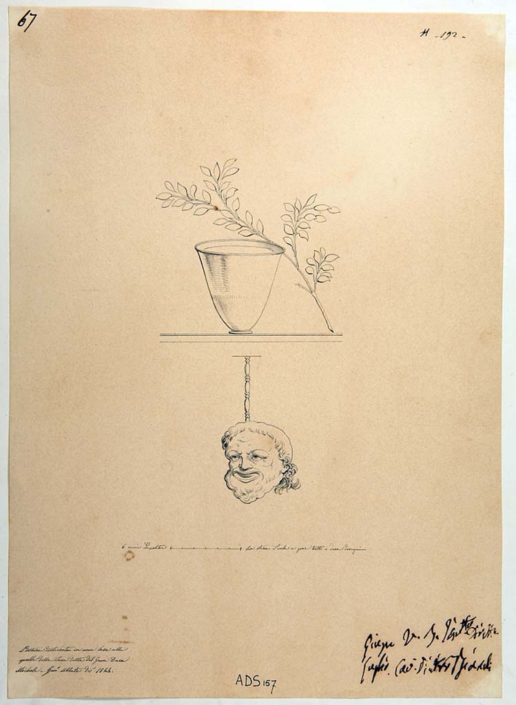 VI.5.3 Pompeii. Drawing by Giuseppe Abbate, 1844, of cup and branch, with head of Silenus below, now disappeared.
To which room these could be attributed is unknown, but from this house.  
Now in Naples Archaeological Museum. Inventory number ADS 157.
Photo © ICCD. http://www.catalogo.beniculturali.it
Utilizzabili alle condizioni della licenza Attribuzione - Non commerciale - Condividi allo stesso modo 2.5 Italia (CC BY-NC-SA 2.5 IT)