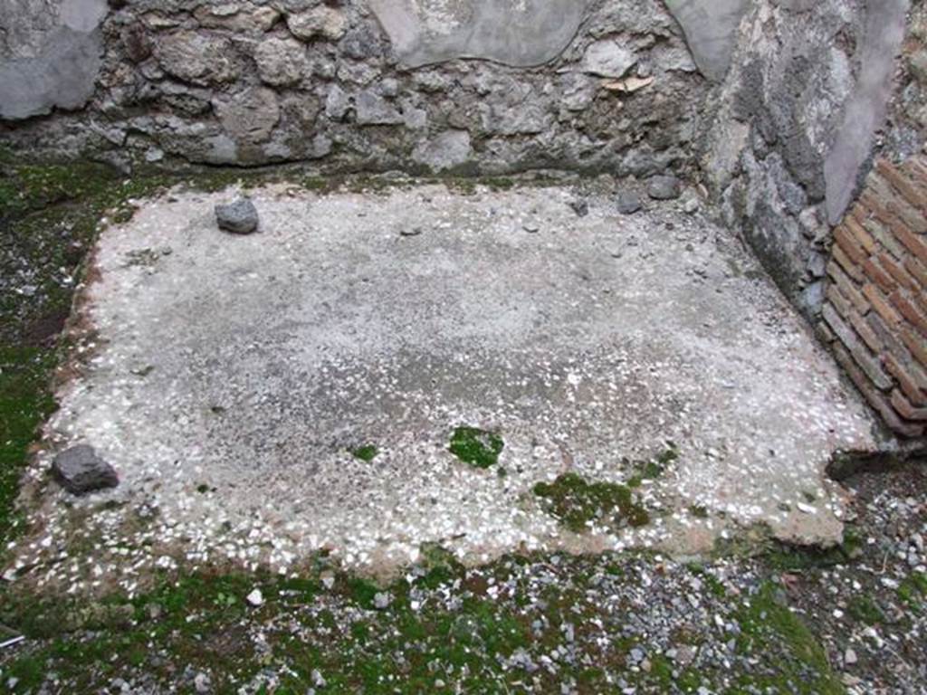 VI.5.4 Pompeii. December 2007. Decorated floor in room 12.