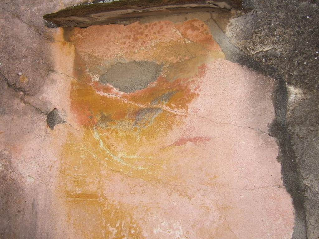 VI.5.5 Pompeii. September 2005. Remains of central panel of the south wall with a painting of still-life with fishes.
See Bragantini, de Vos, Badoni, 1983. Pitture e Pavimenti di Pompei, Parte 2. Rome: ICCD. (p.144)
See Pappalardo, U., 2001. La Descrizione di Pompei per Giuseppe Fiorelli (1875). Napoli: Massa Editore. (p.54)