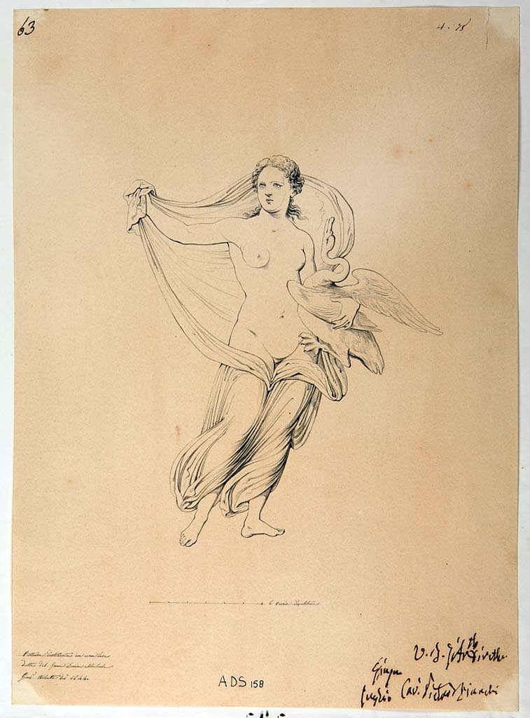 VI.5.5 Pompeii. 1844 drawing by Giuseppe Abbate of a panel with Leda and the swan (Helbig 151). 
Now in Naples Archaeological Museum. Inventory number ADS 158.
Photo © ICCD. http://www.catalogo.beniculturali.it
Utilizzabili alle condizioni della licenza Attribuzione - Non commerciale - Condividi allo stesso modo 2.5 Italia (CC BY-NC-SA 2.5 IT)
According to Helbig’s topographical list, this panel also came from the triclinium, but today the IV Style decoration has disappeared.