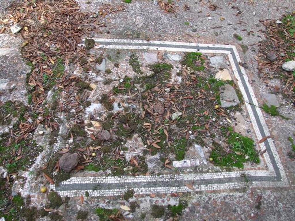 VI.5.5 Pompeii. December 2007. Floor mosaic in triclinium to the left behind the peristyle.