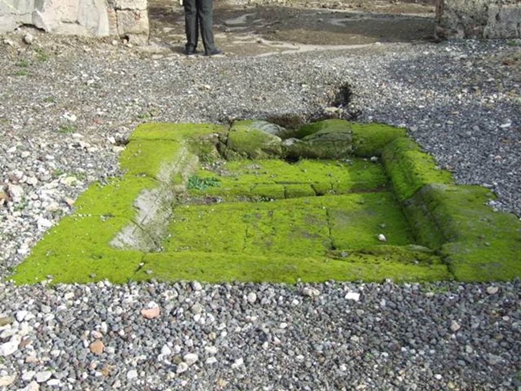 VI.5.5 Pompeii. Dedcember 2007. Impluvium in atrium.