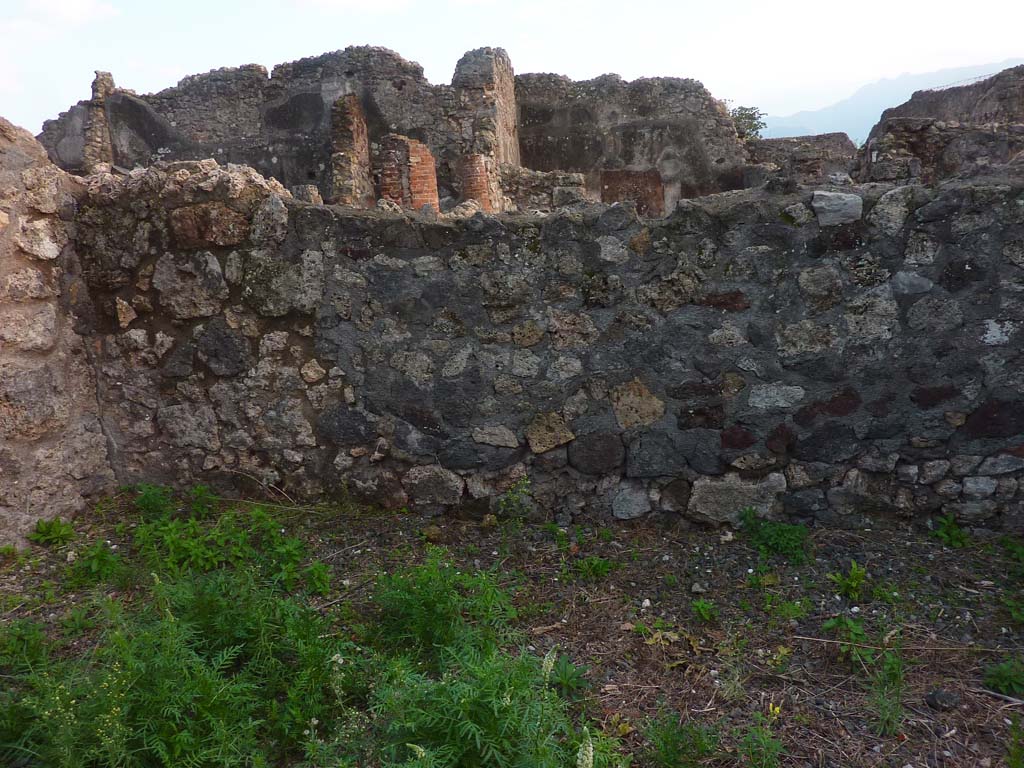 VI.5.9 Pompeii. November 2021. Detail of south wall of triclinium. Photo courtesy of Hélène Dessales.