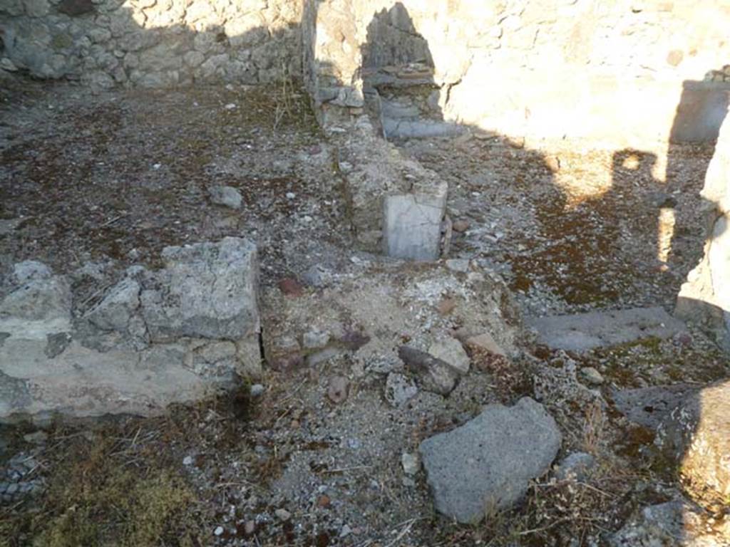 VI.5.9 Pompeii. May 2011. West wall of oecus, looking east from garden area.
