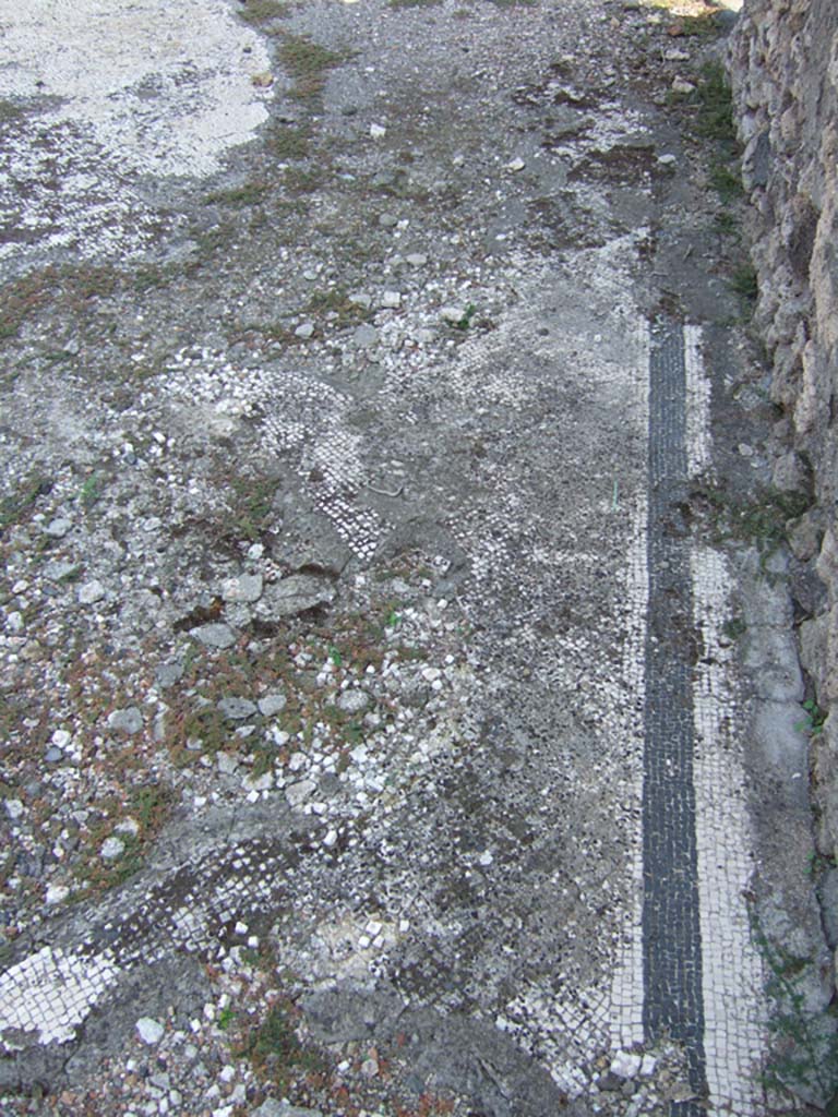 VI.5.9 Pompeii. September 2005. Mosaic floor in tablinum.