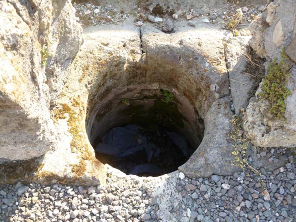 VI.5.10 Pompeii. May 2011. Cistern mouth in south-east corner of peristyle.