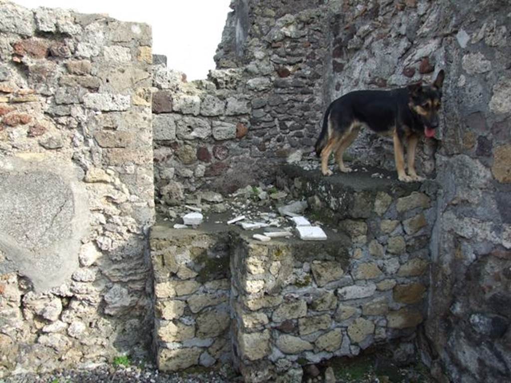 VI.5.10 Pompeii. December 2007. Room 16, south-east corner, with dog “Sheila” our faithful companion who followed us closely.