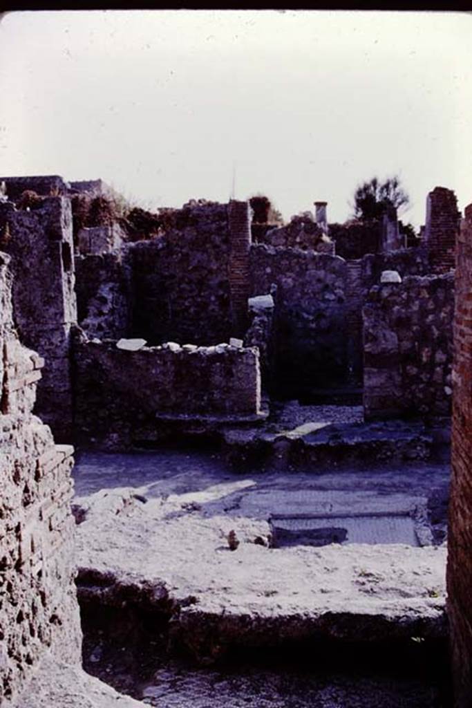 VI.5.19 Pompeii, 1978. Looking west across atrium. Photo by Stanley A. Jashemski.   
Source: The Wilhelmina and Stanley A. Jashemski archive in the University of Maryland Library, Special Collections (See collection page) and made available under the Creative Commons Attribution-Non Commercial License v.4. See Licence and use details. J78f0331
