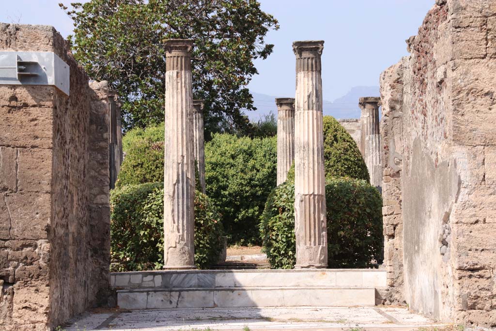 VI.6.1 Pompeii. September 2019. 
Room 6, looking north across tablinum towards steps and columns in peristyle garden.
Photo courtesy of Klaus Heese.