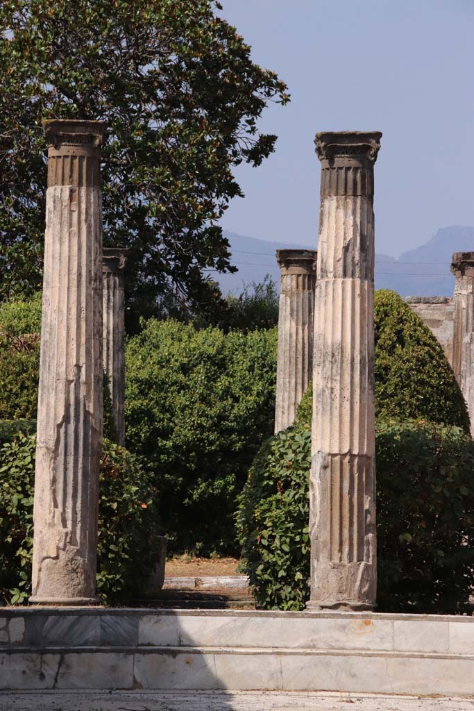 VI.6.1 Pompeii. September 2019. 
Room 6, looking north from steps in tablinum on north side of atrium towards columns in peristyle garden.
Photo courtesy of Klaus Heese.
