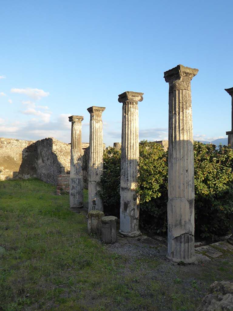 VI.6.1 Pompeii. January 2017. Columns on north portico.
Foto Annette Haug, ERC Grant 681269 DÉCOR.