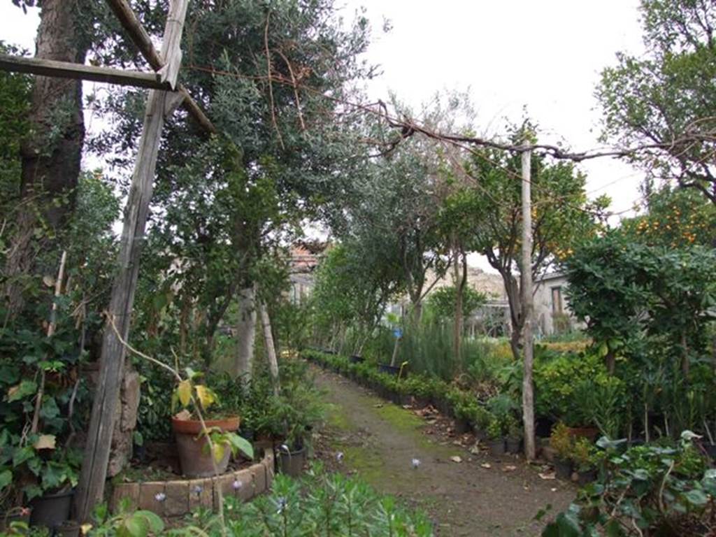 VI.6.1 Pompeii. December 2007. Looking north across kitchen garden from room 19, exedra. According to Jashemski, when excavated in 1827, the garden had a portico across its southern end. At the rear of the garden, on the right, there was a water reservoir and remains of lead fittings and pipes, probably used for watering the garden. See Jashemski, W. F., 1993. The Gardens of Pompeii, Volume II:  Appendices. New York: Caratzas. (p.128).
According to Garcia y Garcia, in the night of 14th-15th September 1943 at least three bombs fell on the area of this large garden. They destroyed two pilasters and four columns. In the north-east corner of the garden, there was also the partial destruction of a room with a large cistern, together with a corner of a room near the separate entrance at VI.6.12. Also damaged was the area to the south-east of the atrium and the annexed workshop. This damage was restored.
See Garcia y Garcia, L., 2006. Danni di guerra a Pompei. Rome: L’Erma di Bretschneider. (p.75)