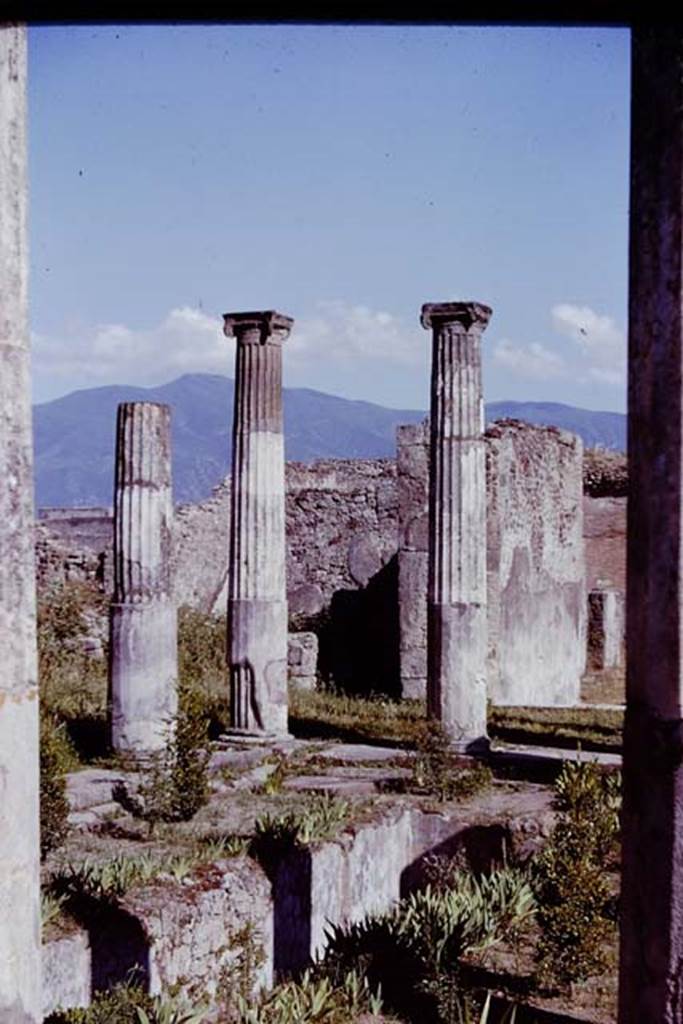 VI.6.1 Pompeii. 1961. Peristyle, looking south-east across pool. Photo by Stanley A. Jashemski.
Source: The Wilhelmina and Stanley A. Jashemski archive in the University of Maryland Library, Special Collections (See collection page) and made available under the Creative Commons Attribution-Non Commercial License v.4. See Licence and use details.
J61f0366