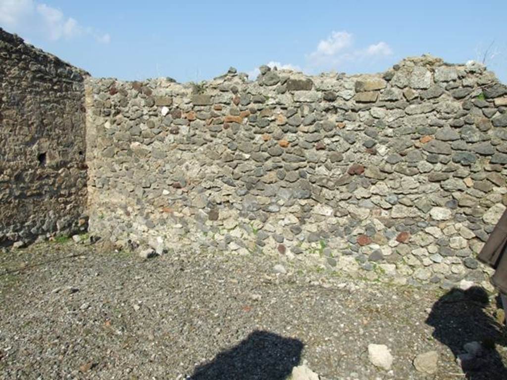 VI.7.3 Pompeii. March 2009. Room 6, east wall of garden area.