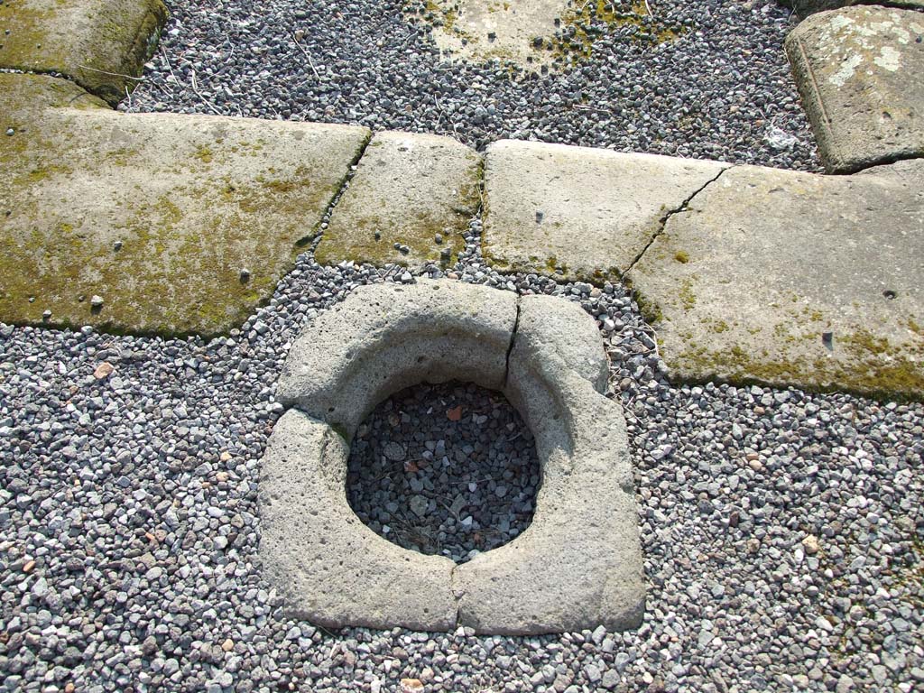 VI.7.6 Pompeii. March 2009. Room 1, cistern mouth near impluvium in atrium.