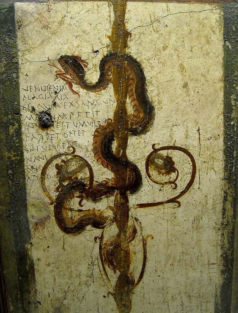 VI.7.6 Pompeii. Found in 1835, room 2, cubiculum. Painting of a serpent, bringer of good fortune. 
Now in Naples Archaeological Museum. Inventory number 4694.