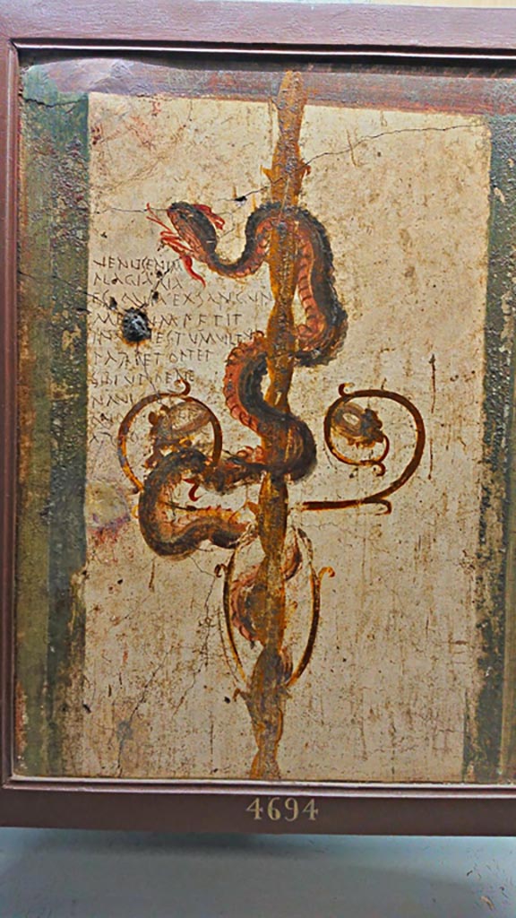 VI.7.6 Pompeii. Found in 1835, room 2, cubiculum.
Detail of painting of a serpent, bringer of good fortune, with graffiti. 
Now in Naples Archaeological Museum. Inventory number 4694.
Photo courtesy of Giuseppe Ciaramella, June 2017.
