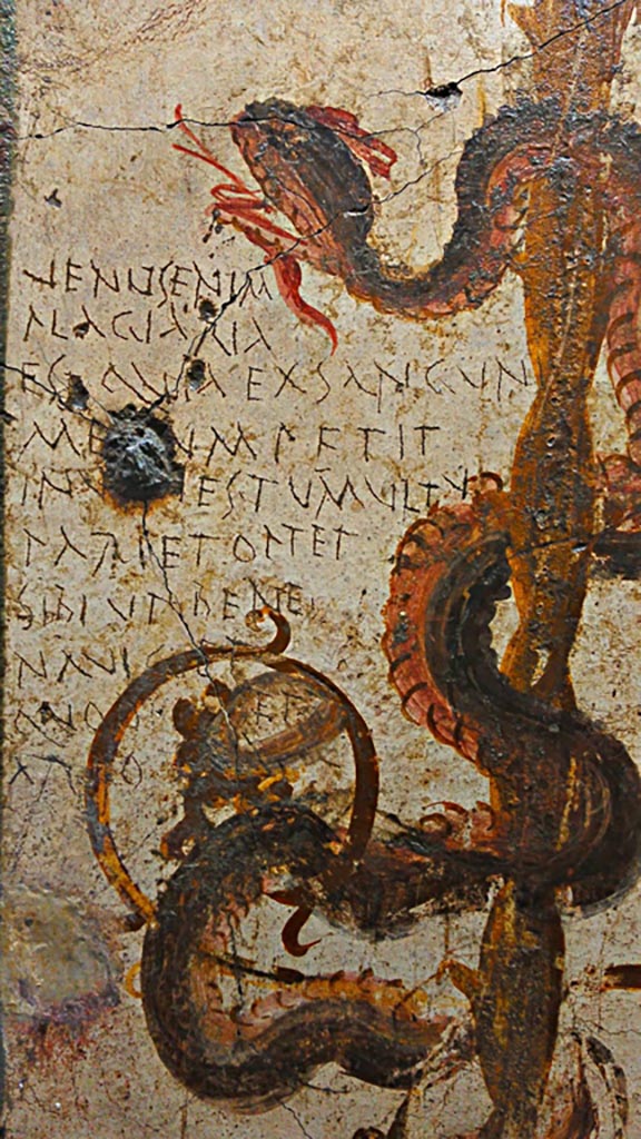 VI.7.6 Pompeii. Found in 1835, room 2, cubiculum.
Detail of painting of a serpent, bringer of good fortune, with graffiti. 
Now in Naples Archaeological Museum. Inventory number 4694.
Photo courtesy of Giuseppe Ciaramella, June 2017.