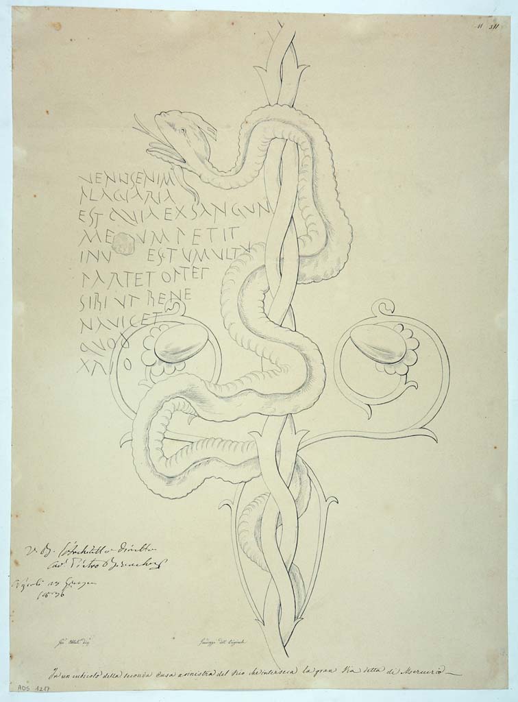 VI.7.6 Pompeii. Pen and ink drawing by Giuseppe Abbate (1836) showing the serpent coiled around a candelabra.
Now in Naples Archaeological Museum. Inventory number ADS 1217.
The original painting was detached from the wall and is now in Naples Archaeological Museum. Inventory number 4694.
The graffiti, CIL IV 1410, 1411, can be clearly seen on the left. 
Photo © ICCD. http://www.catalogo.beniculturali.it
Utilizzabili alle condizioni della licenza Attribuzione - Non commerciale - Condividi allo stesso modo 2.5 Italia (CC BY-NC-SA 2.5 IT)