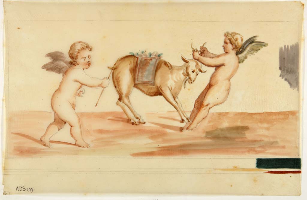 VI.7.18 Pompeii. Watercolour by Antonio Ala, showing two cupids with a goat, from east end of south wall (left side of central painting).
Now in Naples Archaeological Museum. Inventory number ADS 199.
Photo © ICCD. http://www.catalogo.beniculturali.it
Utilizzabili alle condizioni della licenza Attribuzione - Non commerciale - Condividi allo stesso modo 2.5 Italia (CC BY-NC-SA 2.5 IT)