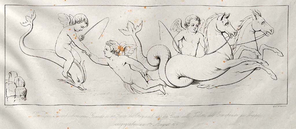 VI.7.18 Pompeii. Pre-October 1851. Drawing by Zahn, of a painting on a black background of a predella. 
This painting was found above the zoccolo of a small wall of the room in which the Toilette of Hermaphrodite was found on a large wall.
See Zahn, W., 1852-59. Die schönsten Ornamente und merkwürdigsten Gemälde aus Pompeji, Herkulanum und Stabiae: III. Berlin: Reimer, taf. 35.