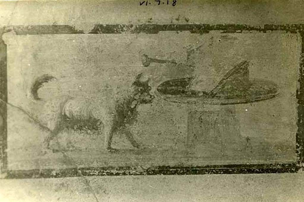 VI.7.18 Pompeii. 1937-39. Detail of panel on north wall of east portico showing a dog in front of a cylindrical podium.
Photo courtesy of American Academy in Rome, Photographic Archive. 
Warsher collection no. 1668.