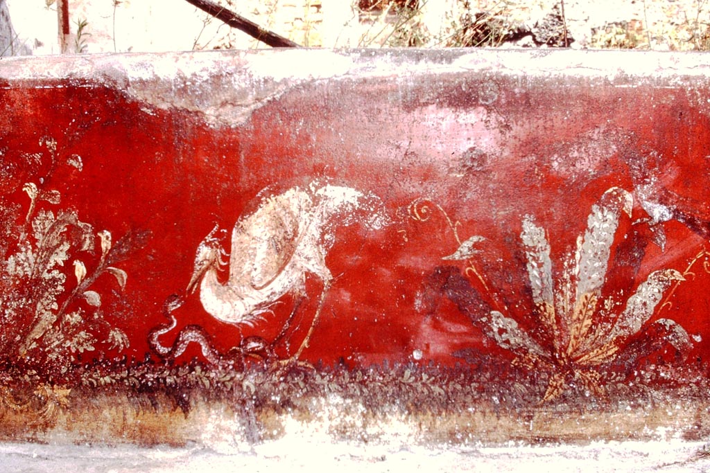 VI.7.18 Pompeii. 1966. Wall painting of heron, serpent and garden plants. Photo by Stanley A. Jashemski.
Source: The Wilhelmina and Stanley A. Jashemski archive in the University of Maryland Library, Special Collections (See collection page) and made available under the Creative Commons Attribution-Non Commercial License v.4. See Licence and use details.
J66f0697