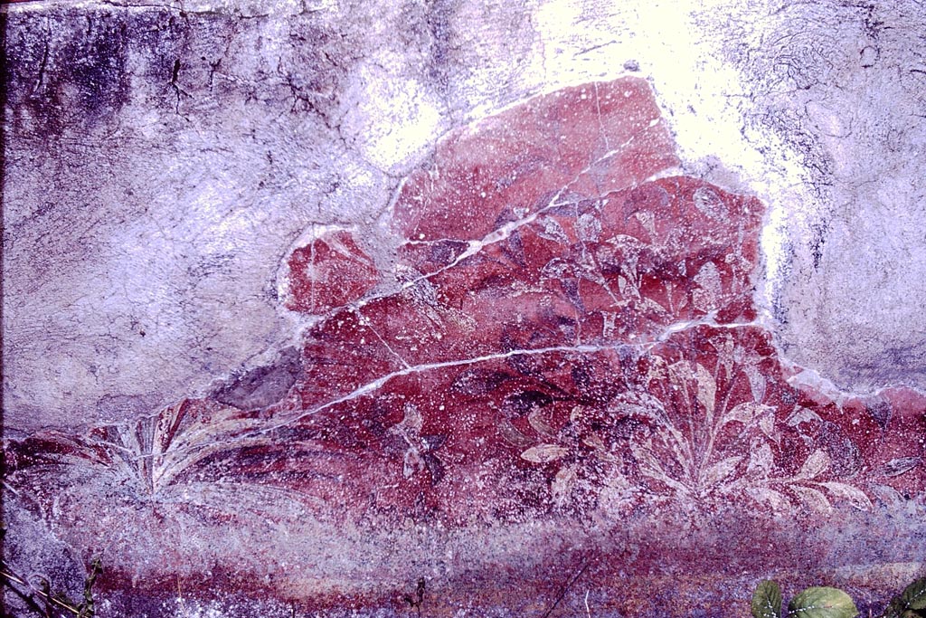 VI.7.18 Pompeii. 1966. Garden wall painting. Photo by Stanley A. Jashemski.
Source: The Wilhelmina and Stanley A. Jashemski archive in the University of Maryland Library, Special Collections (See collection page) and made available under the Creative Commons Attribution-Non Commercial License v.4. See Licence and use details.
J66f0698