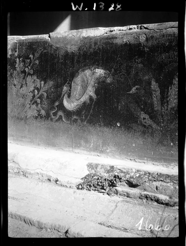 VI.7.18 Pompeii. W.1328. 
Detail from wall in east portico of peristyle, showing painted plants, serpent and heron.
Photo by Tatiana Warscher. Photo © Deutsches Archäologisches Institut, Abteilung Rom, Arkiv.