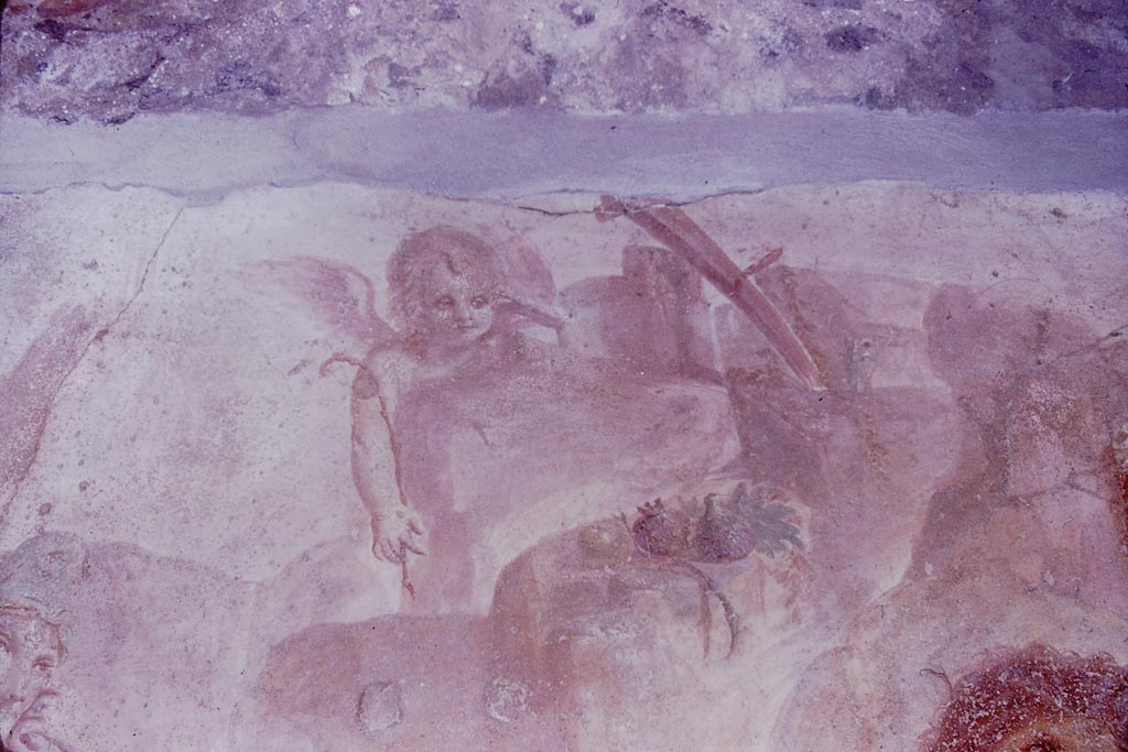 VI.7.18 Pompeii. 1966. Detail of cupid from top of painting. Photo by Stanley A. Jashemski.
Source: The Wilhelmina and Stanley A. Jashemski archive in the University of Maryland Library, Special Collections (See collection page) and made available under the Creative Commons Attribution-Non Commercial License v.4. See Licence and use details.
J66f0693