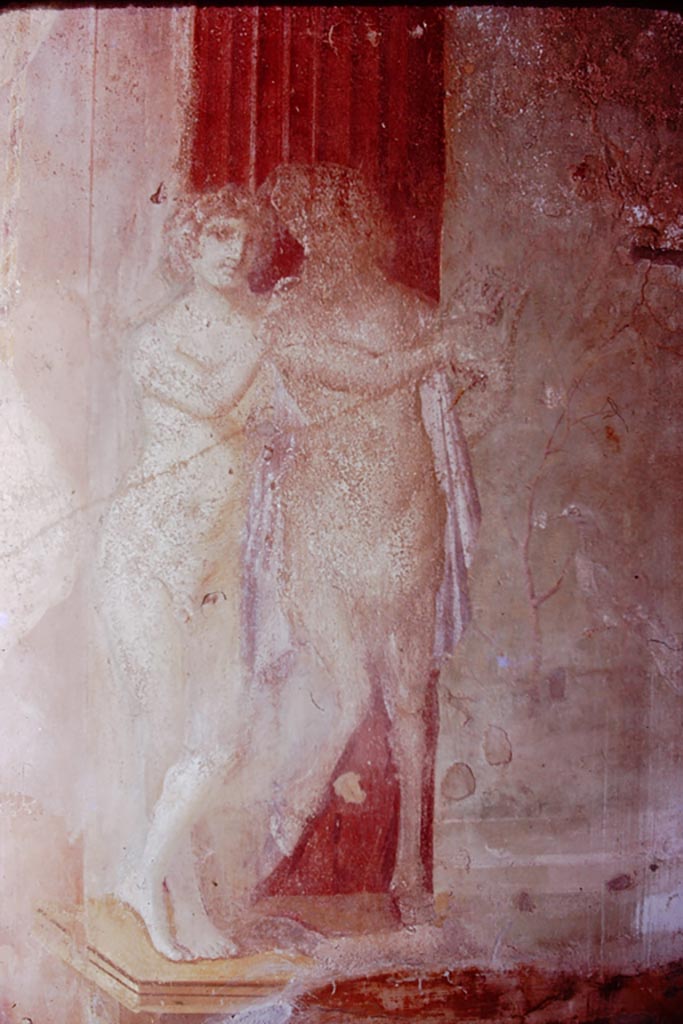 VI.7.18 Pompeii. 1974. 
Detail of Marsyas and Olympus with a lyre. Photo by Stanley A. Jashemski.   
Source: The Wilhelmina and Stanley A. Jashemski archive in the University of Maryland Library, Special Collections (See collection page) and made available under the Creative Commons Attribution-Non Commercial License v.4. See Licence and use details.
J74f0151