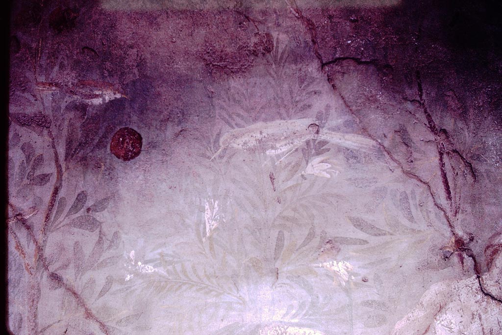 VI.7.18 Pompeii. 1966. Painted birds and plants on north wall. Photo by Stanley A. Jashemski.
Source: The Wilhelmina and Stanley A. Jashemski archive in the University of Maryland Library, Special Collections (See collection page) and made available under the Creative Commons Attribution-Non Commercial License v.4. See Licence and use details.
J66f0692