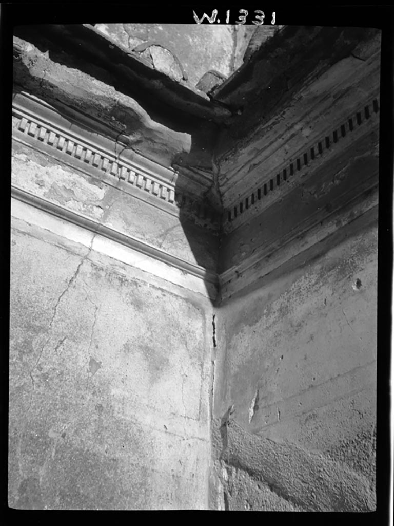 VI.7.18 Pompeii. W.1331. Cornice in north-east corner of cubiculum. 
Photo by Tatiana Warscher. Photo © Deutsches Archäologisches Institut, Abteilung Rom, Arkiv.
