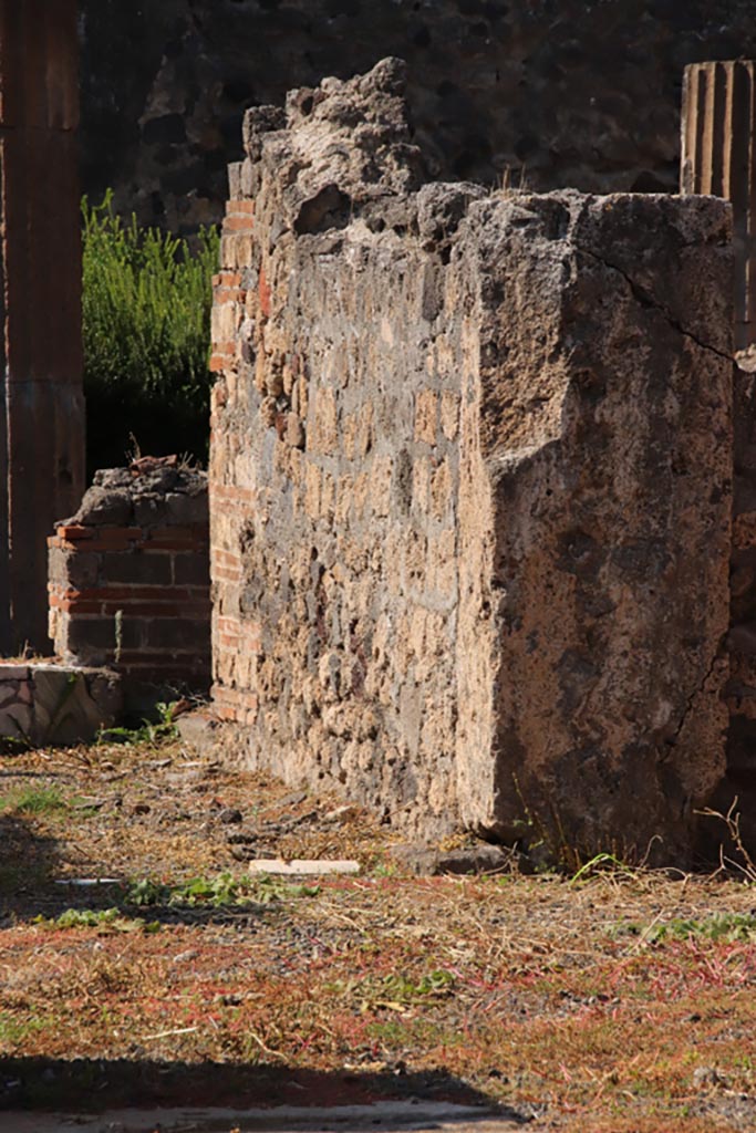 VI.7.19 Pompeii. October 2022. North wall of tablinum. Photo courtesy of Klaus Heese.