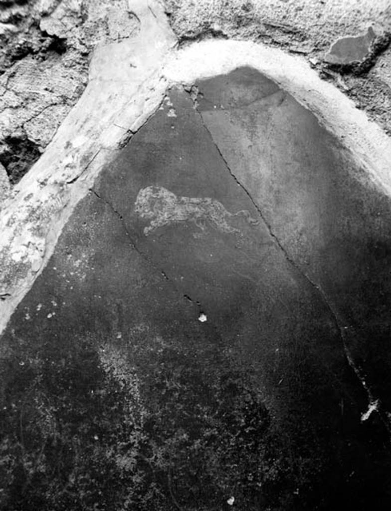 231125 Bestand-D-DAI-ROM-W.1243.jpg
VI.7.20 Pompeii. W.1243. Remains of wall decoration, lion. According to Breton, in one of the rooms opening onto the peristyle, a painting of a deer followed by a lion could be seen.
See Breton, Ernest. 1870. Pompeia, Guide de visite a Pompei, 3rd ed. Paris, Guerin. 
According to Helbig in the room on the left of the tablinum, a hunt scene was found.
See Helbig, W., 1868. Wandgemälde der vom Vesuv verschütteten Städte Campaniens. Leipzig: Breitkopf und Härtel. (1597)
Photo by Tatiana Warscher. With kind permission of DAI Rome, whose copyright it remains. 
See http://arachne.uni-koeln.de/item/marbilderbestand/231125