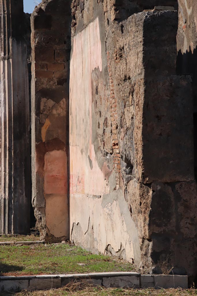 VI.7.20 Pompeii. October 2022. North wall of tablinum. Photo courtesy of Klaus Heese.